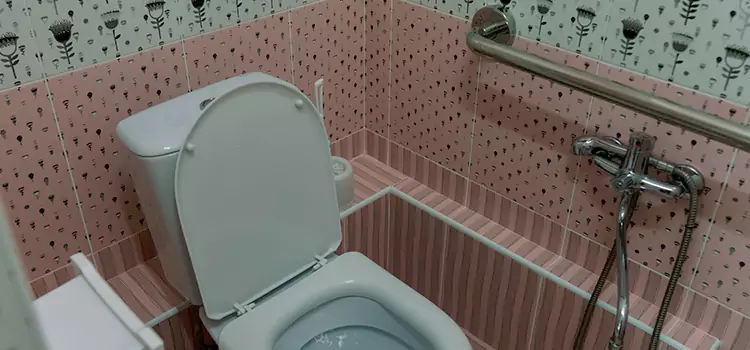 Meeting Diverse Needs With Accessible Restroom Solutions in Fairland, MD