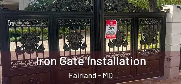Iron Gate Installation Fairland - MD